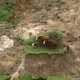In this image made from video, three cows are stranded on an island of grass in a paddock that had been ripped apart following an earthquake near Kaikoura, New Zealand Monday, Nov. 14, 2016. A powerful earthquake that rocked New Zealand on Monday triggered landslides and a small tsunami, cracked apart roads and homes, but largely spared the country the devastation it saw five years ago when a deadly earthquake struck the same region.
